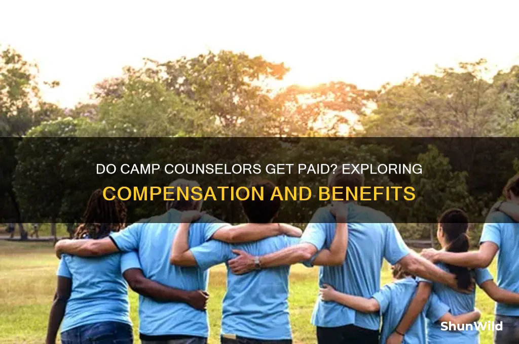 do camp counselors get paid