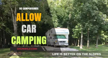 Car Camping at Campgrounds: Rules, Tips, and What to Expect