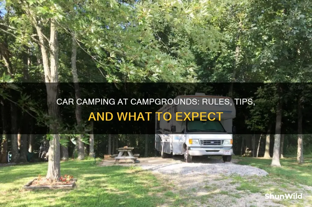 do campgrounds allow car camping