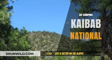 Exploring Kaibab National Forest: Ultimate Camping Guide & Adventure Tips
