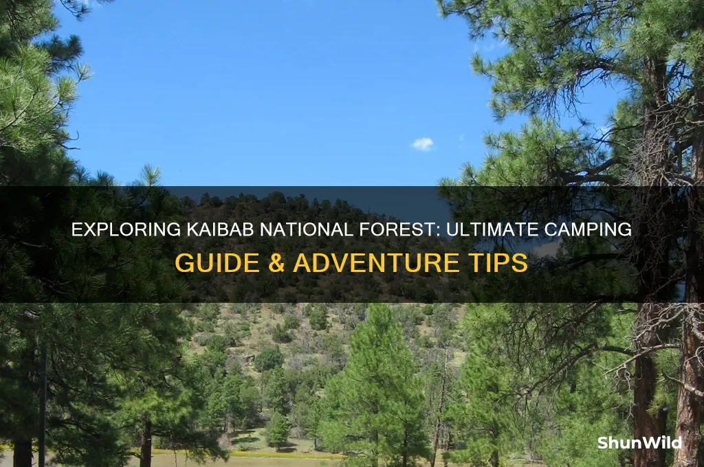 do camping kaibab national
