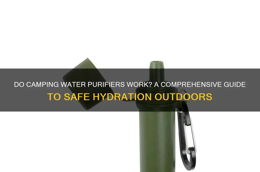 do camping water purifiers work