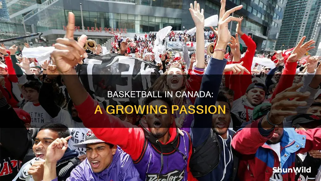 do canadians like basketball
