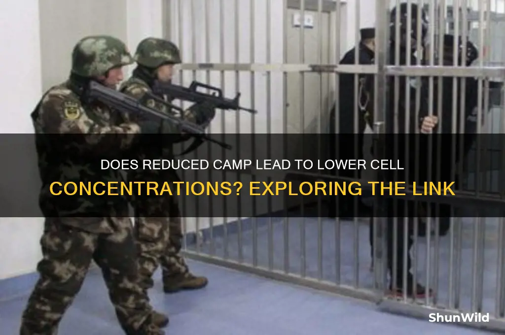 do cell concentrations decrease if camp decreases