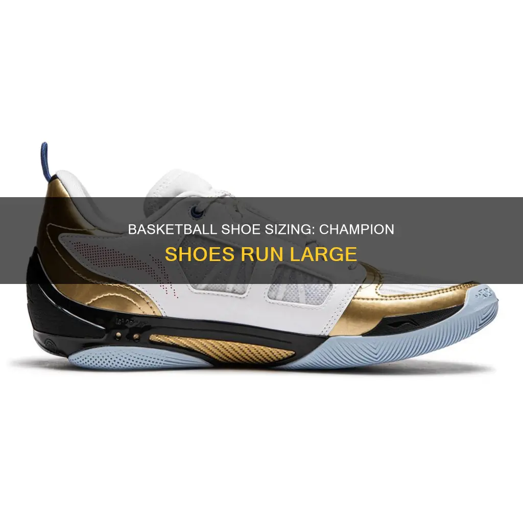 do champion basketball shoes run big