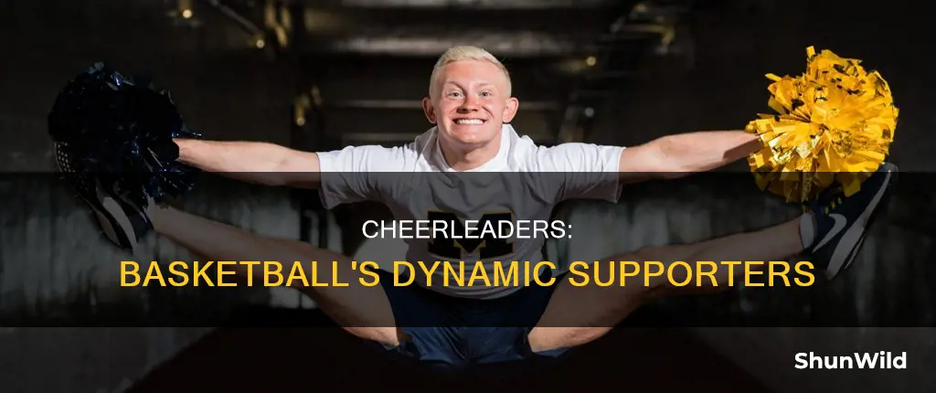 do cheerleaders cheer for basketball