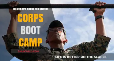 Do Chin-Ups Matter for Marine Corps Boot Camp? Find Out Here