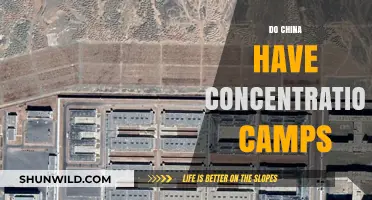 China's Xinjiang Camps: Detention Centers or Cultural Genocide?