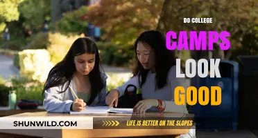 Do College Camps Boost Your Application? Insights and Benefits