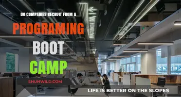 Do Companies Hire Bootcamp Graduates? Exploring Programming Bootcamp Recruitment