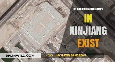 Unveiling the Truth: Xinjiang's Concentration Camps – Fact or Fiction?