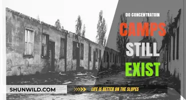 Concentration Camps Today: A Chilling Reality or Historical Relic?