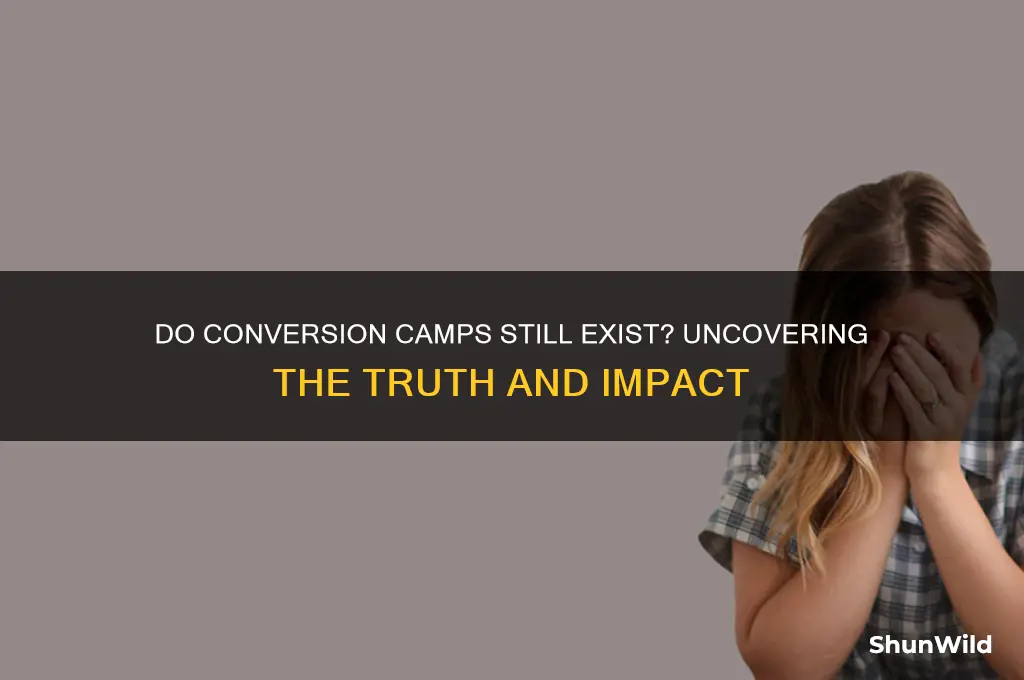 do conversion camps exist