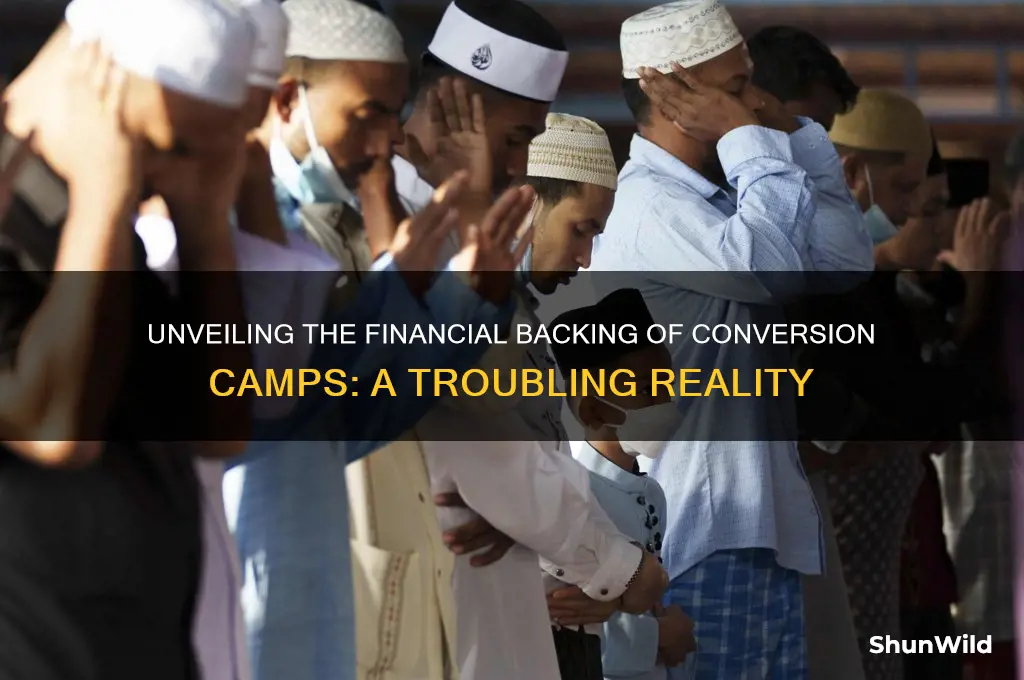 do conversion camps get funding