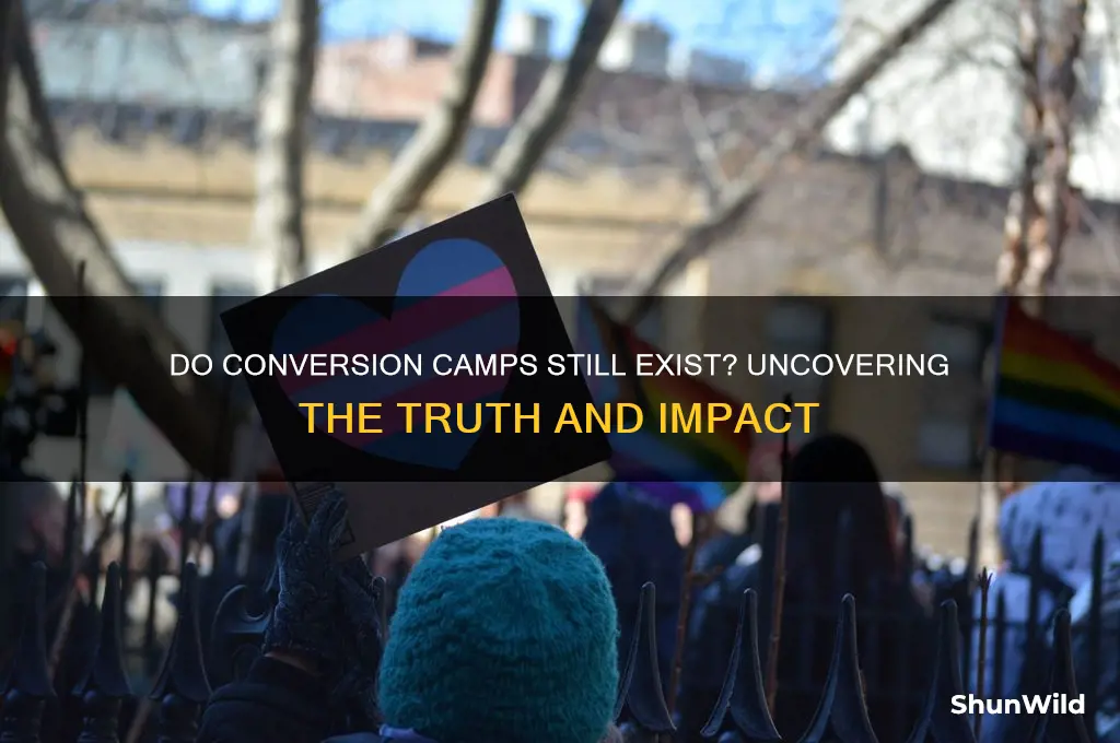 do conversion camps still exist