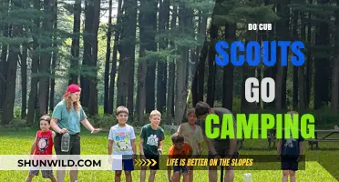 Cub Scouts Camping Adventures: Exploring the Great Outdoors