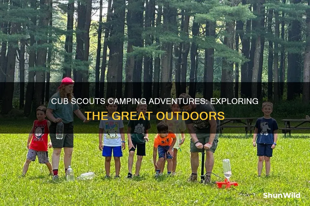 do cub scouts go camping