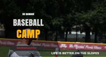 Master Baseball Skills and Power at Do Damage Baseball Camp