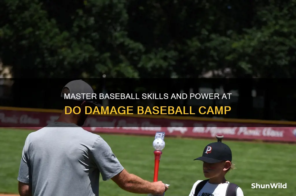 do damage baseball camp