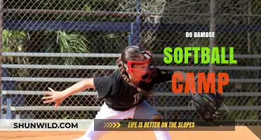 Elevate Your Game: Do Damage Softball Camp Training Secrets Revealed