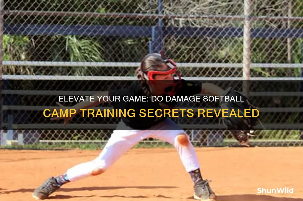 do damage softball camp