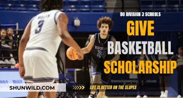 Division 3 Basketball Scholarships: What You Need to Know