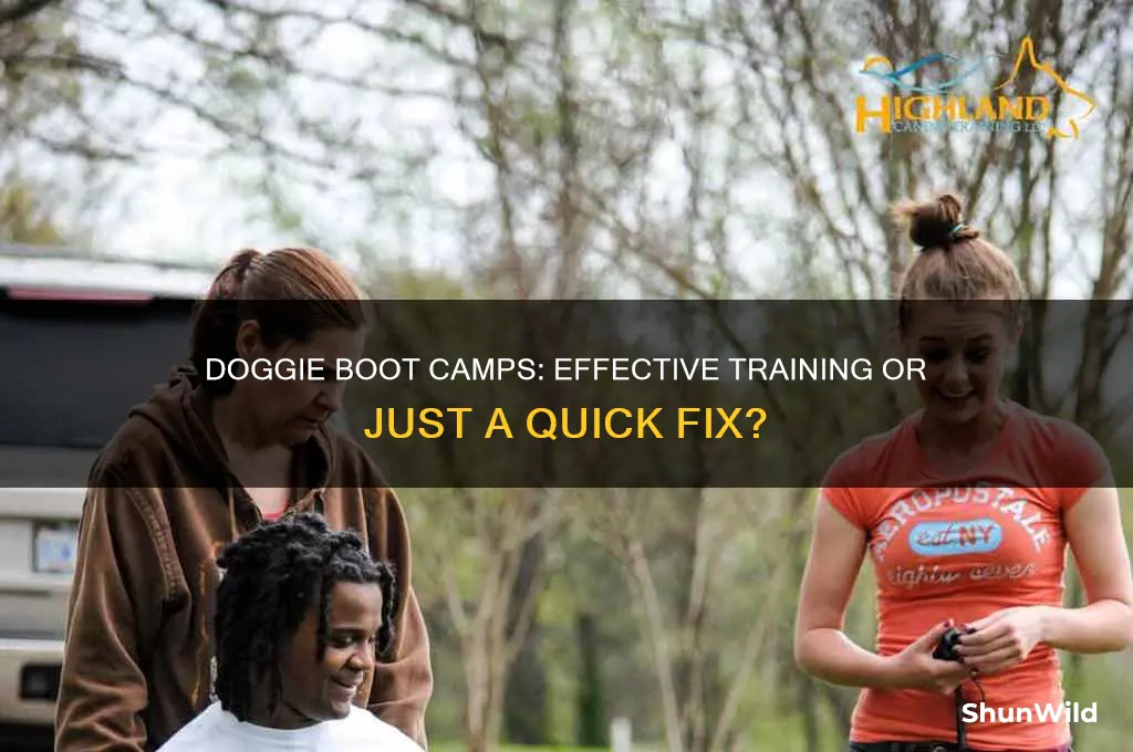 do doggie boot camps work