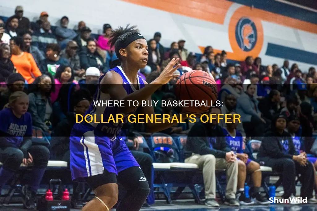 do dollar general sell basketballs