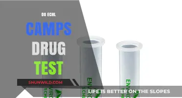ECHL Camps Drug Testing Policies: What Players Need to Know