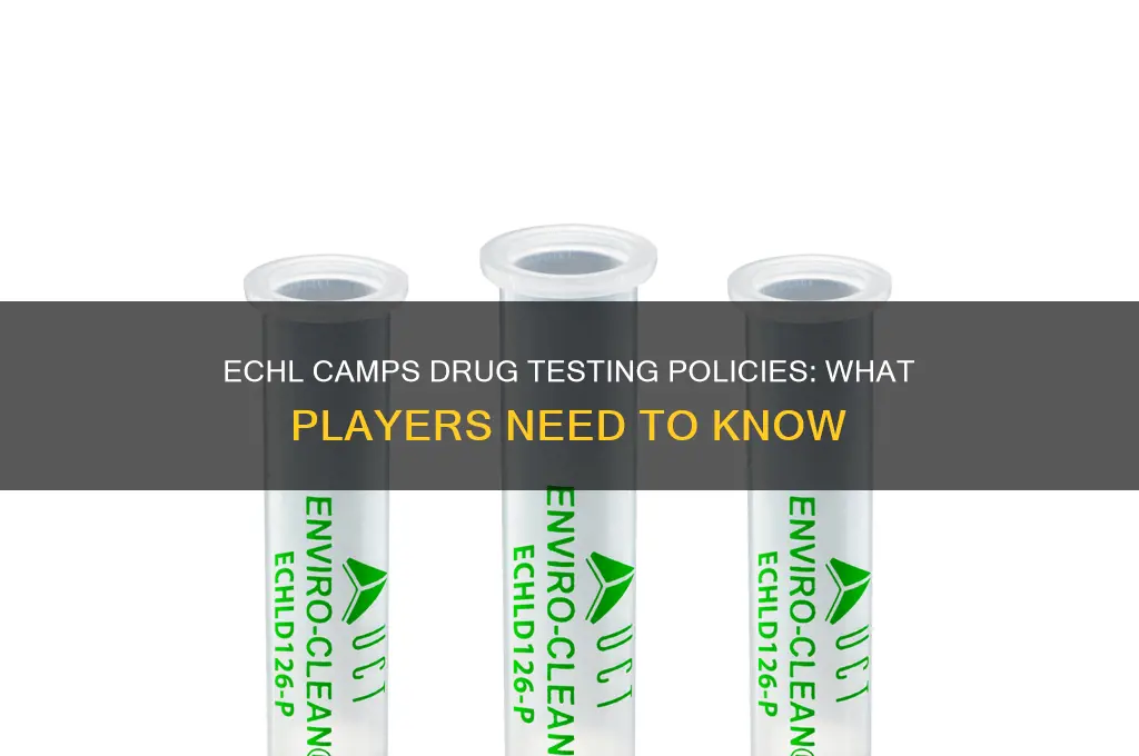 do echl camps drug test