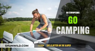 Exploring Europe's Love for Camping: Trends and Traditions Across the Continent