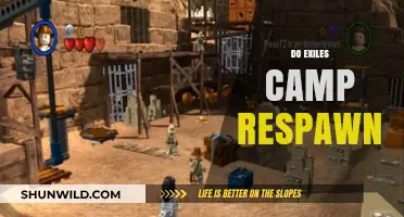 Do Exiles Camps Respawn? Exploring Respawn Mechanics in Exiles