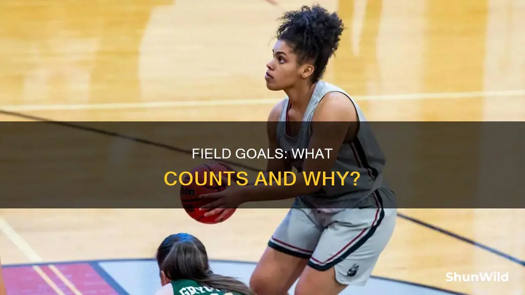 do field goals in basketball include 2 and 3 pointers
