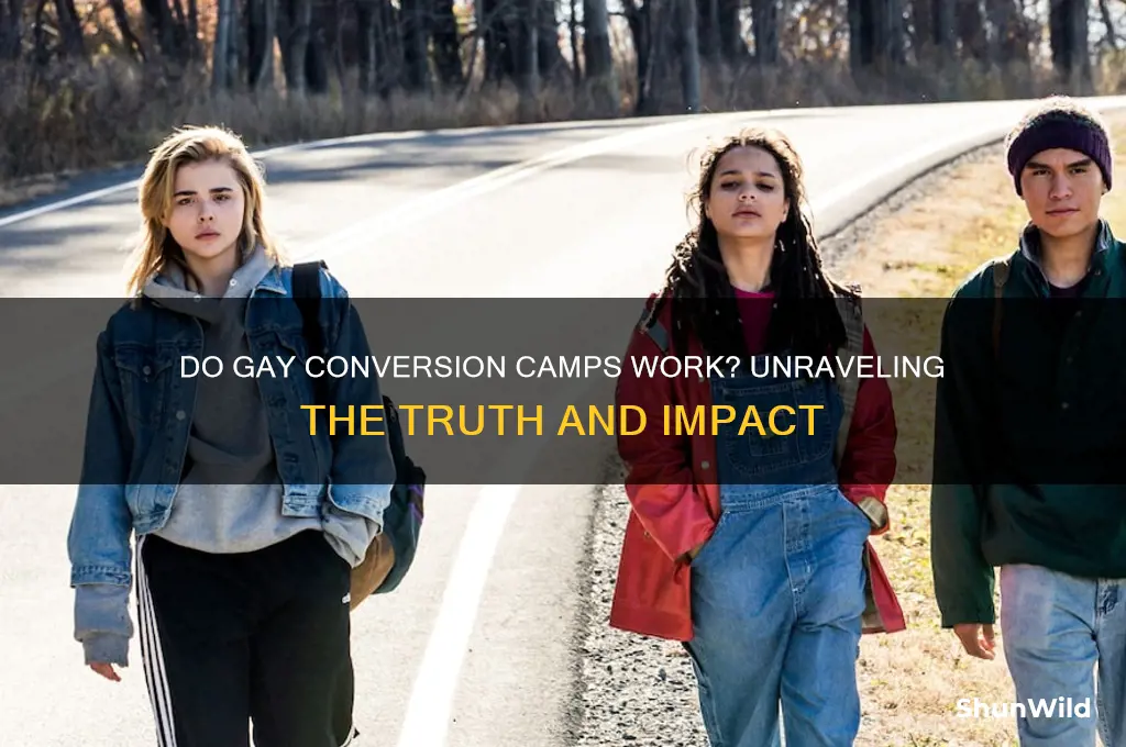 do gay camps work