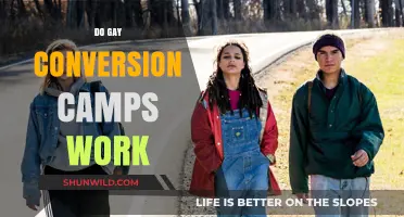 Do Gay Conversion Camps Work? Examining the Harmful Reality