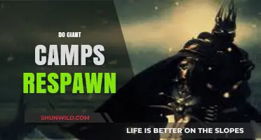 Do Giant Camps Respawn? Exploring Skyrim's Persistent Enemy Mechanics