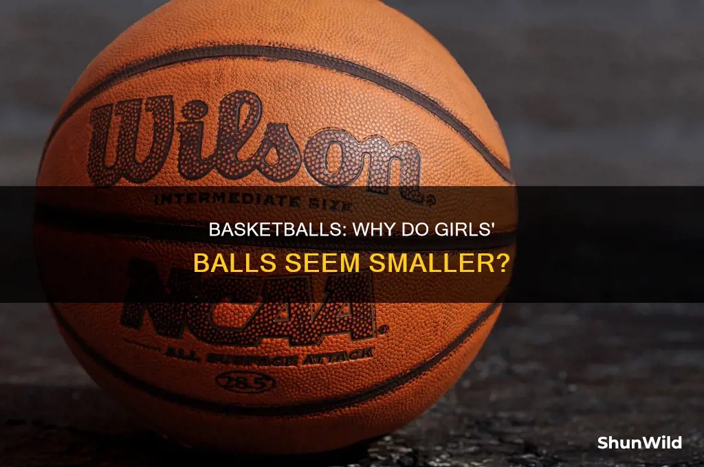 do girls basketball have smaller balls