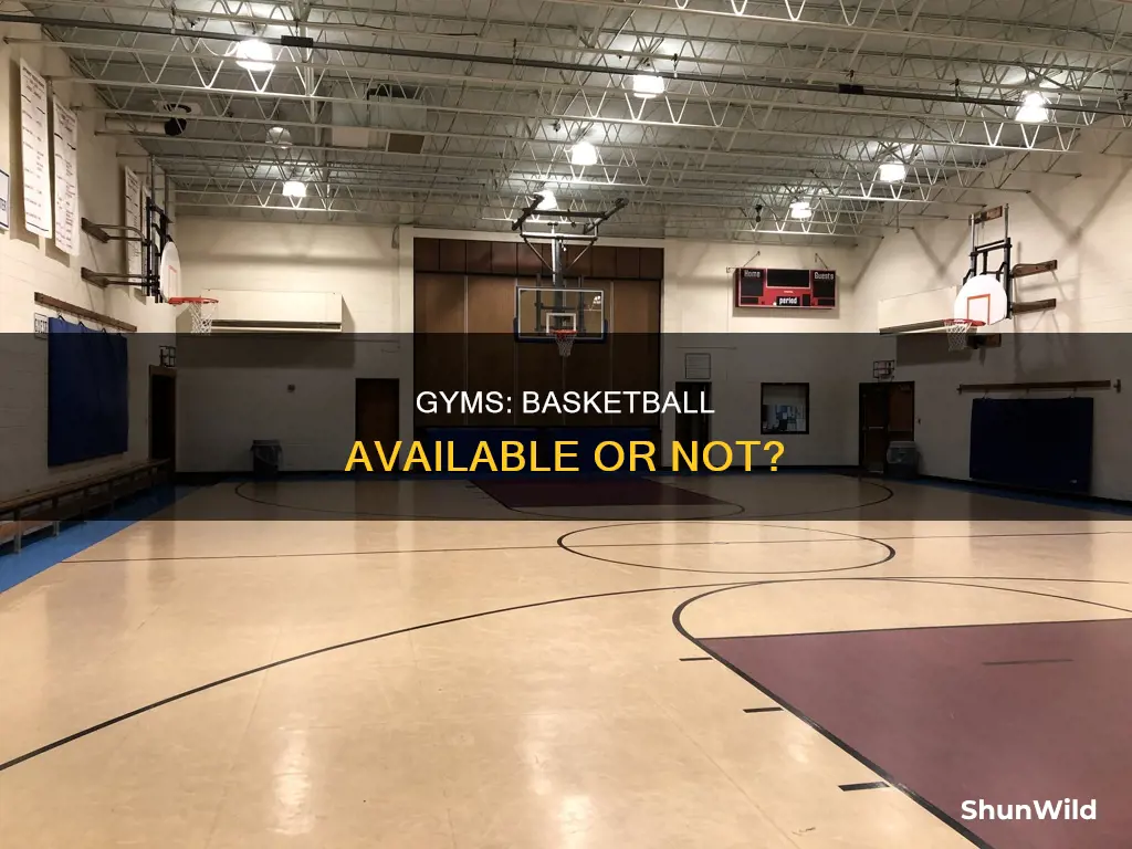 do gyms provide basketball