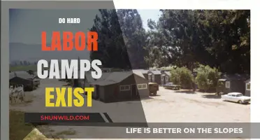 Do Hard Labor Camps Still Exist? Uncovering the Truth