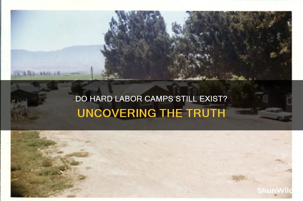 do hard labor camps exist