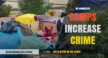 Homeless Camps and Crime: Unraveling the Complex Relationship and Facts