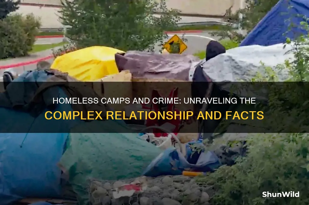 do homeless camps increase crime