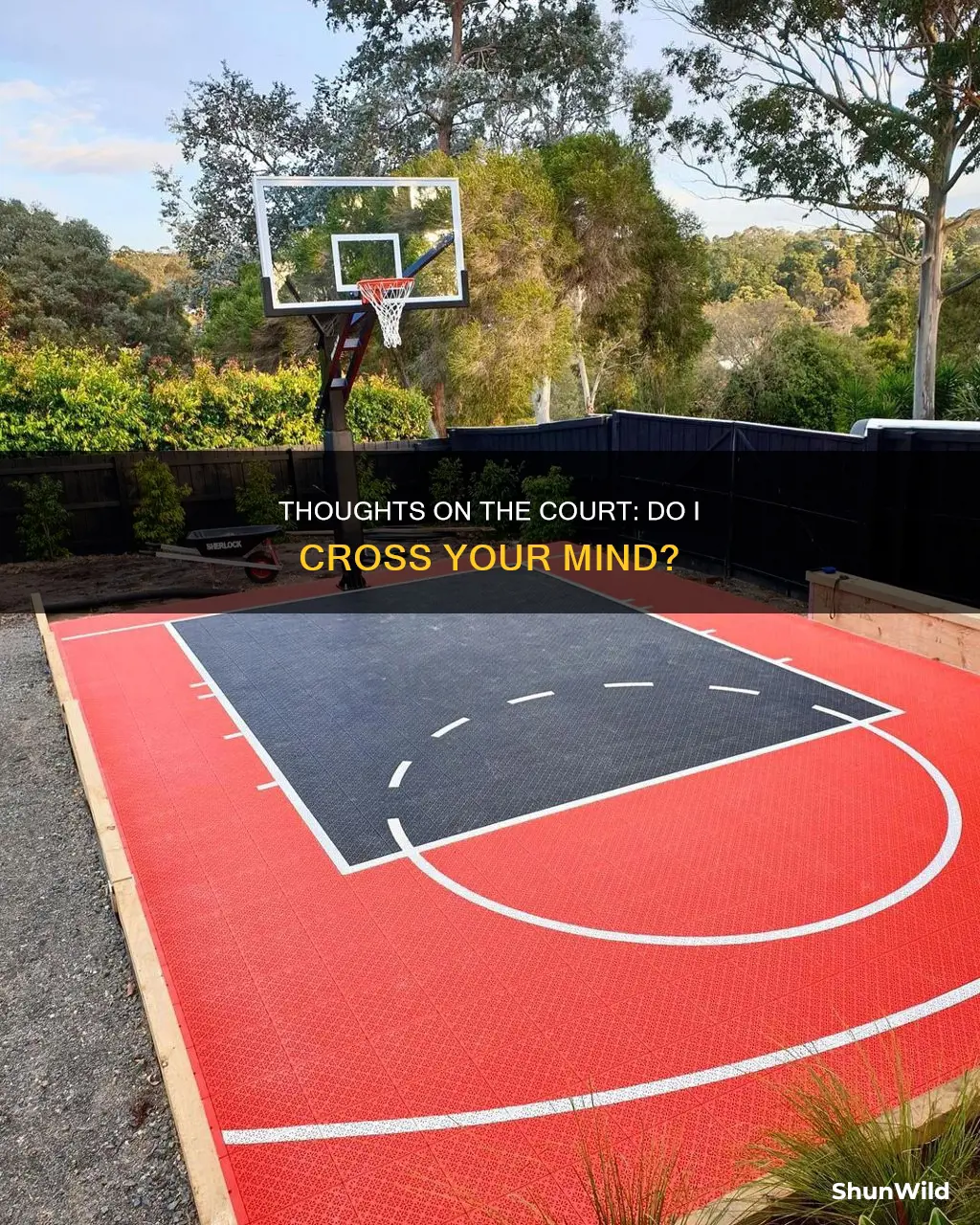 do i ever cross your mind basketball