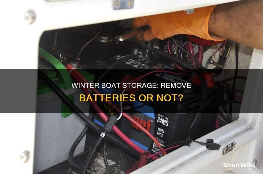 do I take batteries out of a boat in winter