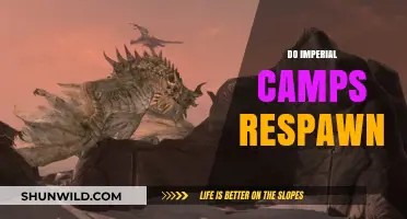 Do Imperial Camps Respawn? Exploring Skyrim's Persistent Camp Mechanics