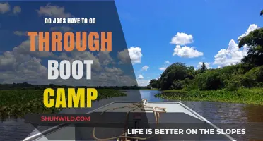Do Jaguars Undergo Boot Camp Training? Unveiling the Truth