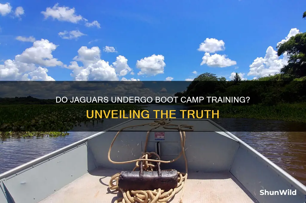 do jags have to go through boot camp