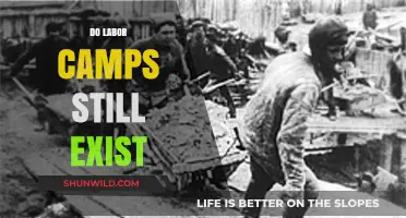 Do Labor Camps Still Exist? Uncovering Modern-Day Forced Labor Realities