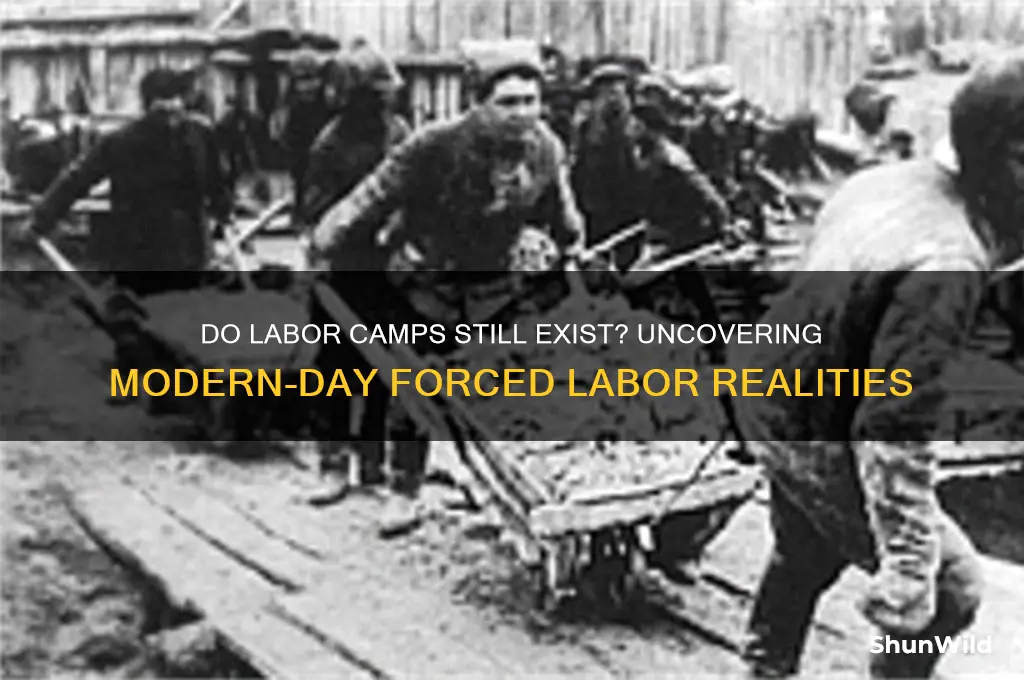 do labor camps still exist