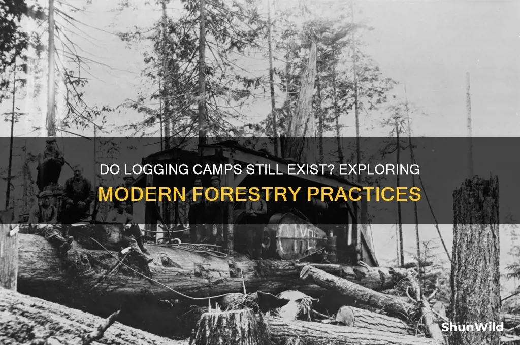 do logging camps still exist